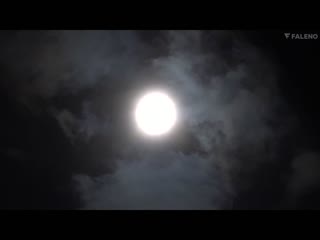 自对面窗户诱惑的清纯美少女成长成絶伦性欲再次恳求性交 时田亚美 FSDSS-684