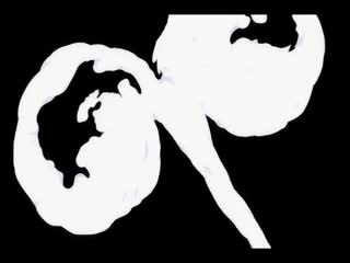 搖擺姊妹完全版 BB10001