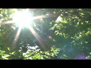 绝不能对妻子说，把岳母肏到怀孕 叶山小百合 JUQ-340