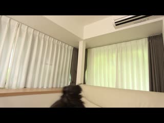 我这个家教老师在短短十天内，就被反抗期的女孩完全调教成了下僕… GEBB-016