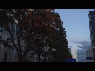 胸围105公分爆乳流汗摇晃，腰身55公分华丽腰身仰躺，臀部98公分爆臀被激烈抽插 想贪求写真偶像爱人极上身躯直到早上 清宫仁爱 EBWH-104