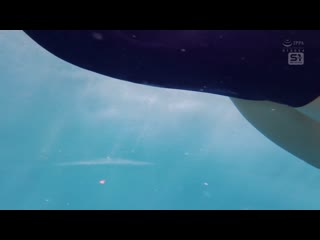 被信赖的水泳部顾问突然对凹凸分明的腰线感到欲火焚身…被侵犯而弄脏的校服和美少女部员 渚爱梨 SONE-650