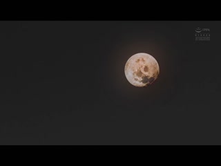 为何我会遭遇到这种事… 堀中未来 SAME-005
