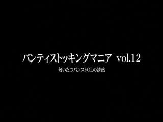 附刊 内裤丝袜迷 Vol.12 DKDN-012