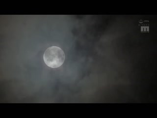 出差处（福冈）与见面的客户女上司喝到错过末班车住同房 被用博多腔调搞痴女玩法榨取13发到早上的密着流汗交尾 九野雏乃 MIDV-550
