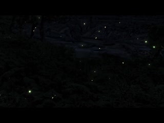 幹砲練開發H遊戲技巧！ 露天澡堂深夜試膽篇 n_668accdl1025