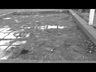 一直不要离开。与无感情青梅竹马纯爱堕落。我的青梅竹马随时随地都能幹的生肉自慰套。虽然无感情但阴道的具合是最高级！ 白石桃 MUDR-291