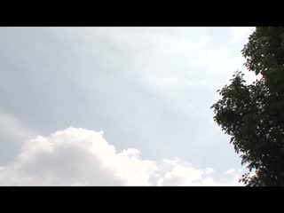 妻子怀孕中，被禁止自慰的我与来东京的岳母铃香持续播种做爱…。 小野铃香 JUQ-801
