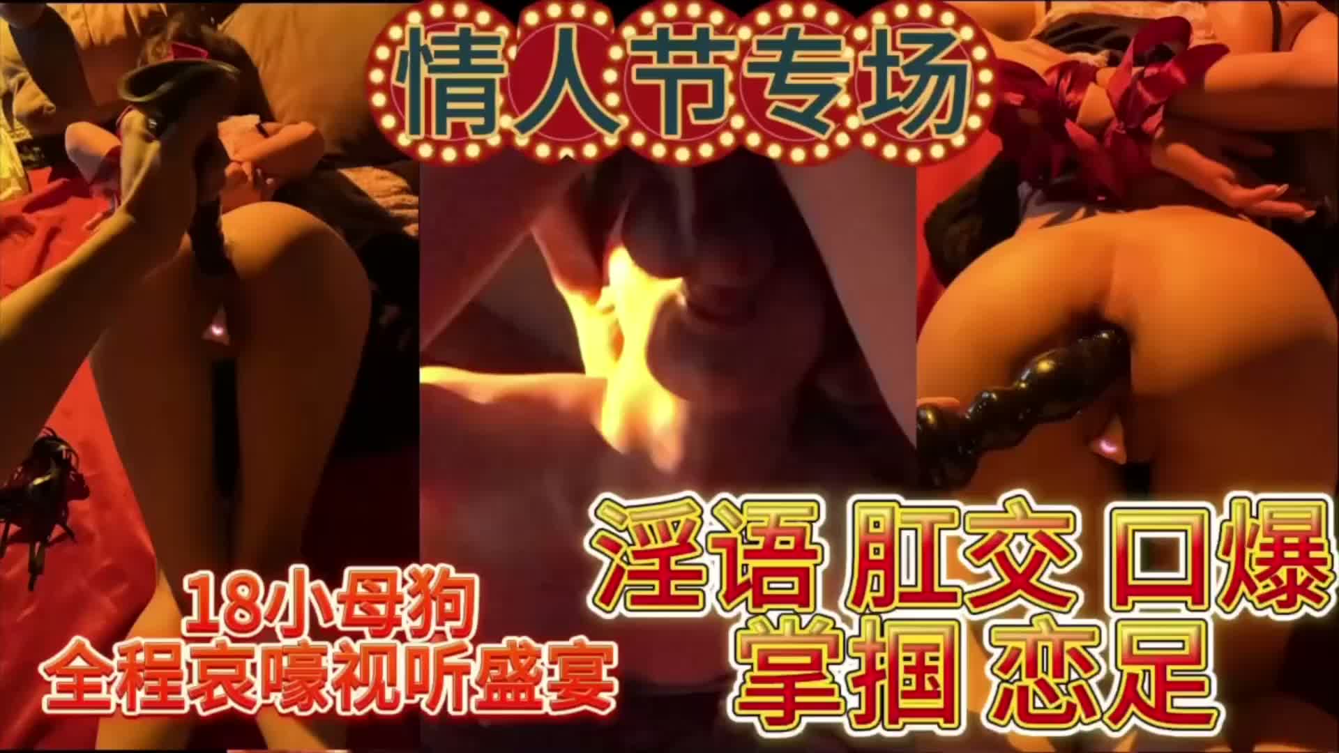 情人节专场18岁母狗全程哀嚎视听盛宴