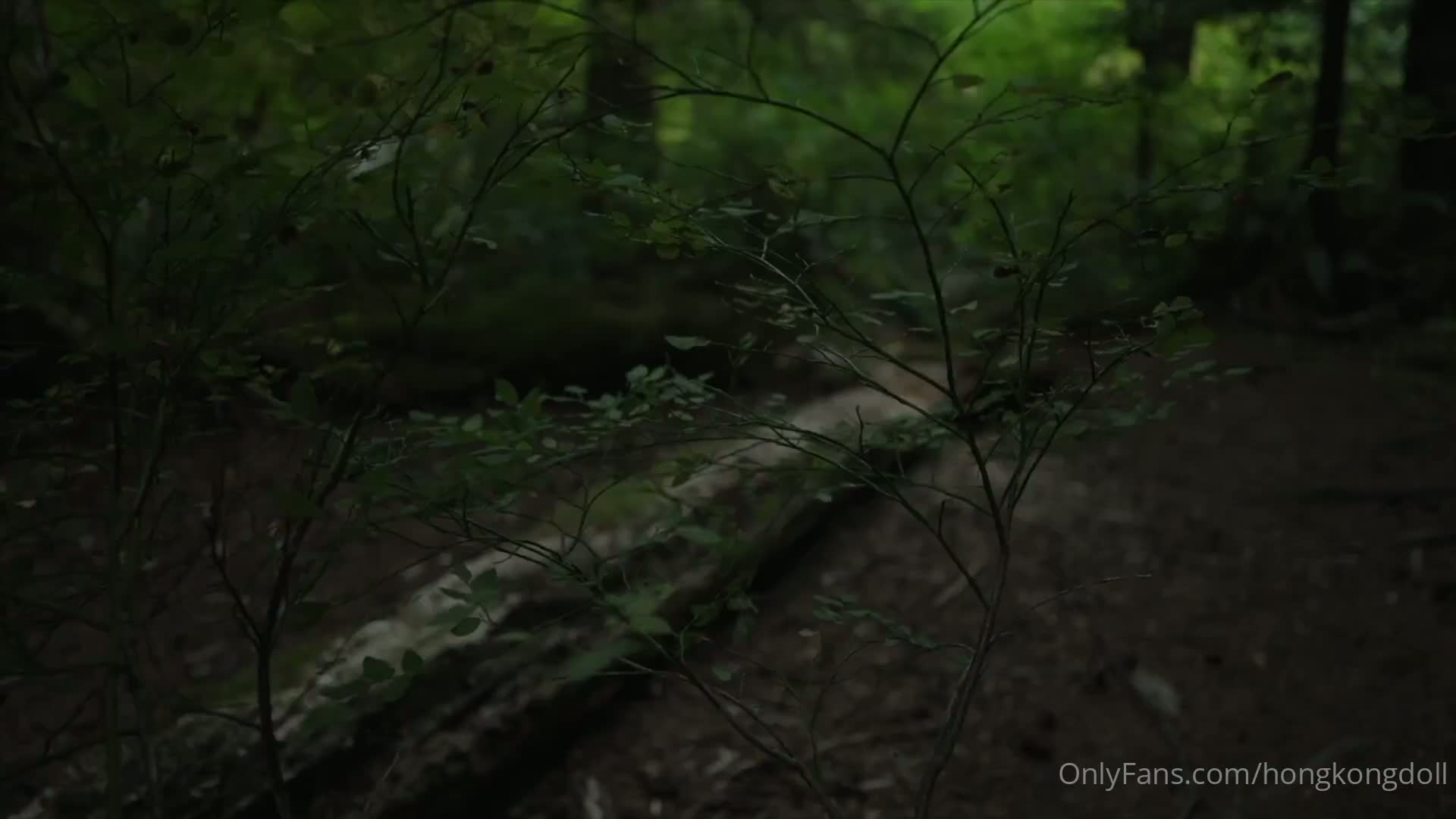 No. 020 森林-森林 第一集 相遇（预告）