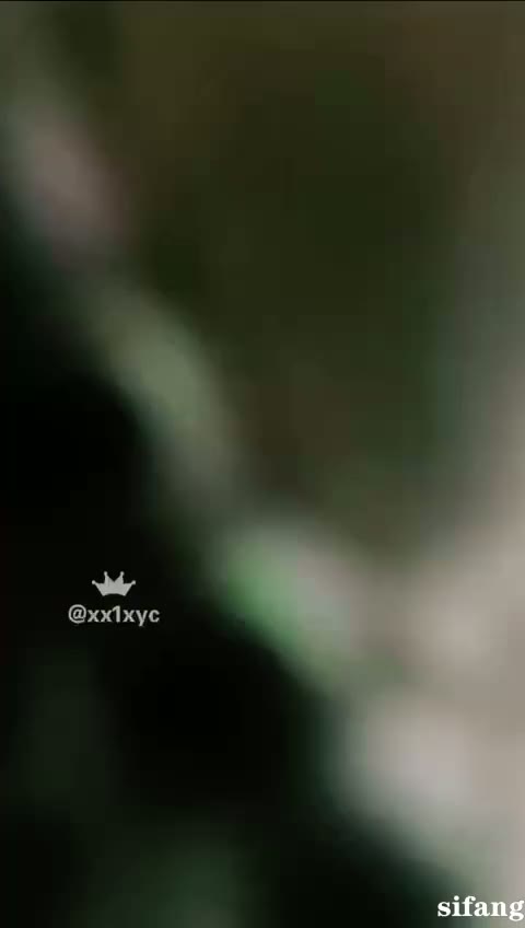 (20)